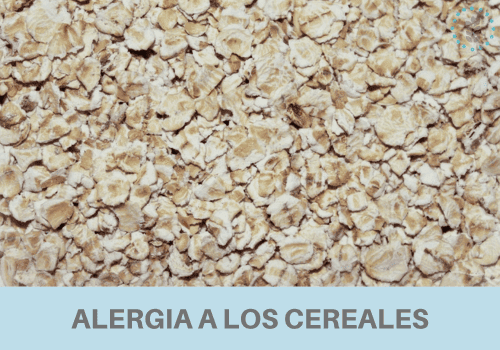 alergia a los cereales portada